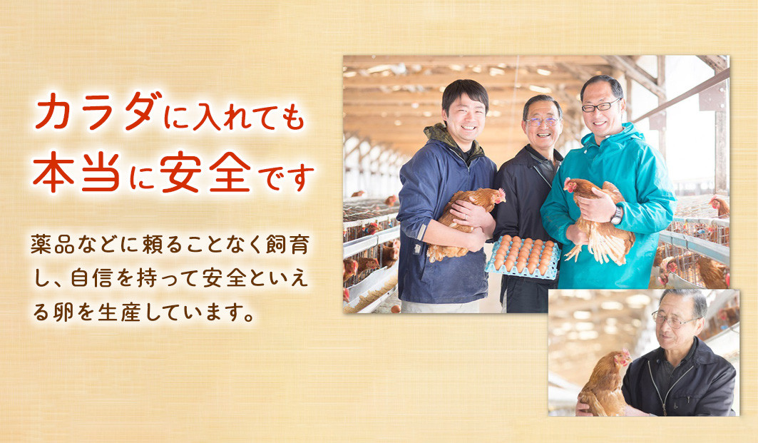 【3回定期便】霧島山麓育ち こだわり卵『康卵』 30個入り×3回 合計90個