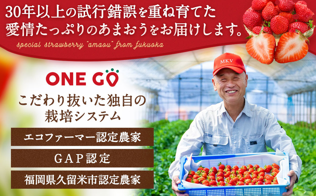 【予約受付】【2026年1月上旬～3月下旬発送予定】大容量あまおう 600g