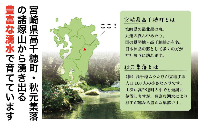 宮崎県高千穂町[秋元産］いろは米　棚田米　白米　新米　ひのひかり　5㎏　C-33