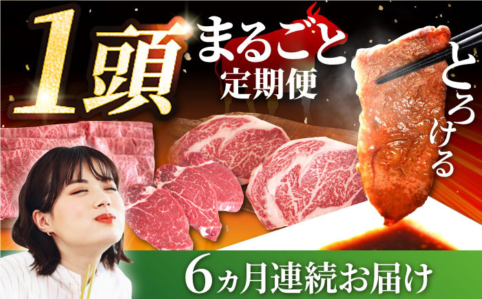 【FARM to TABLE】農場から食卓へ、牧場直送でお届け!