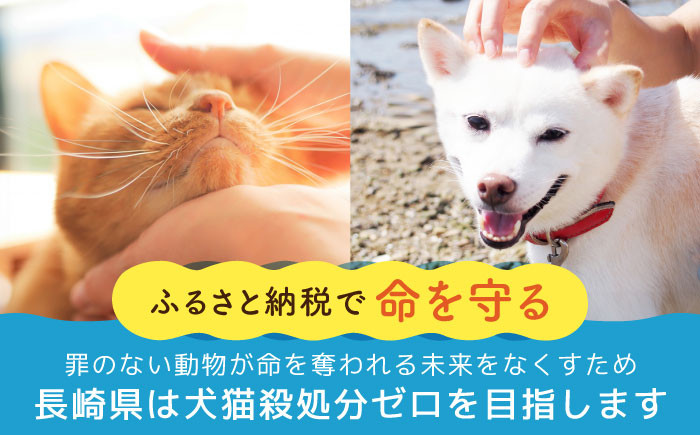 長崎  動物 犬 猫 いぬ ねこ イヌ ネコ 保護犬 保護猫 支援 応援  寄付のみ 5000円