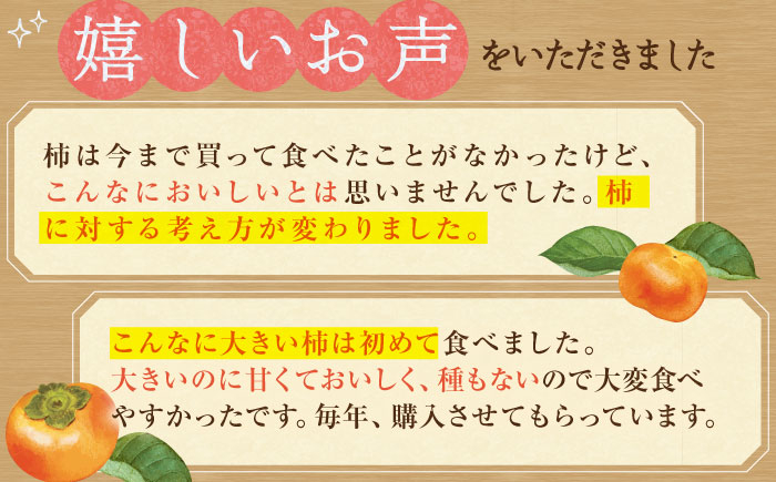 【10月下旬〜11月下旬発送】種なし柿 太月・渋抜き柿 3kg【小林農園】 [HAX001] 柿 果物 フルーツ 佐賀県 江北町