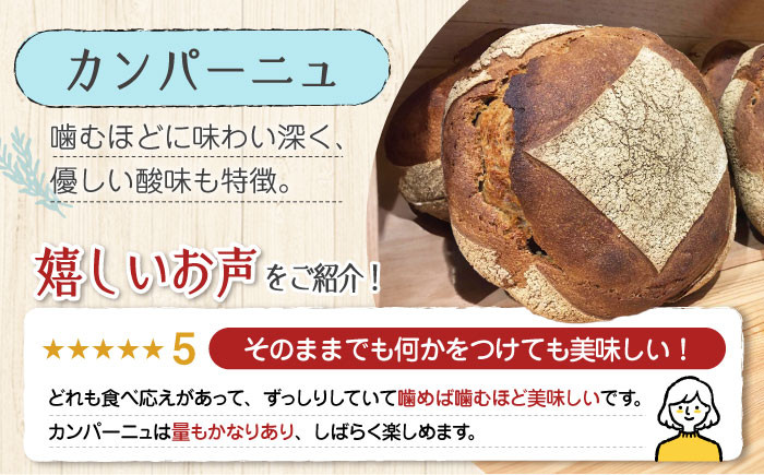 【全12回定期便】大容量 石窯パン 詰め合わせ Bセット(計36個)  パン ハードパン セット 定期便 詰め合わせ 江田島