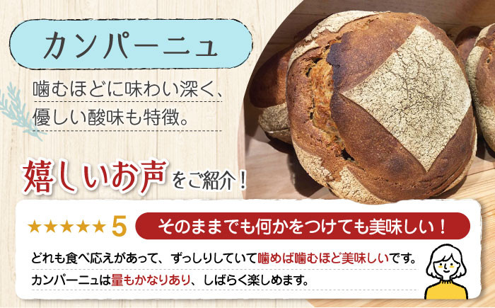 【全12回定期便】大容量 石窯パン 詰め合わせ Aセット (計36個)  パン ハードパン セット 定期便 詰め合わせ 江田島