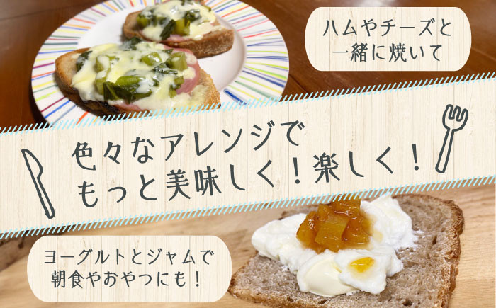 【全6回定期便】人気 石窯パン 詰め合わせ Bセット (計18個)  パン ハードパン セット 定期便 詰め合わせ 江田島