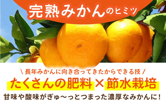 タッチの甘熟 早生みかん 太陽のしずく 5kg【夢の甘熟みかん タッチ】 フルーツ みかん 果物 温州みかん 年内発送