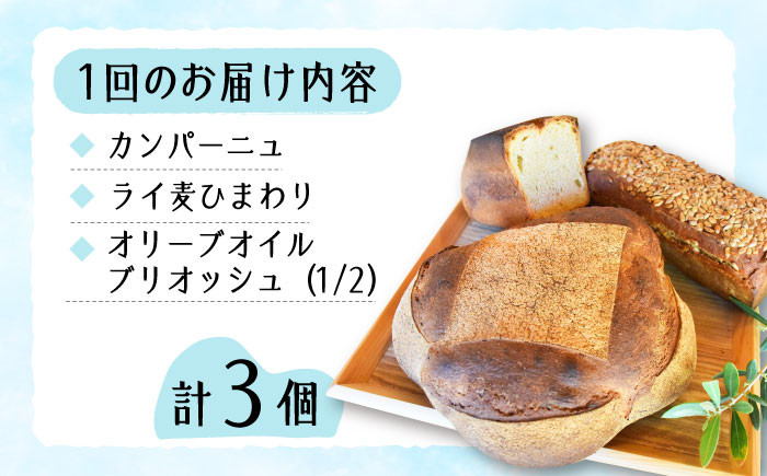 【全6回定期便】人気 石窯パン 詰め合わせ Bセット (計18個)  パン ハードパン セット 定期便 詰め合わせ 江田島