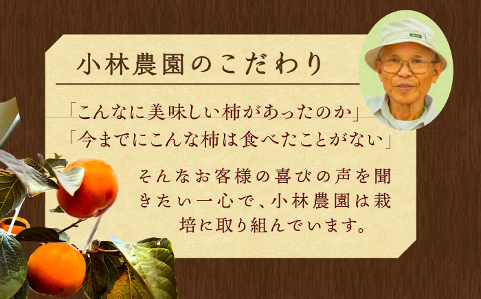 【11月〜12月上旬発送】種なし柿 太天・渋抜き柿　3kg【小林農園】 [HAX002] 柿 果物 フルーツ 佐賀県 江北町