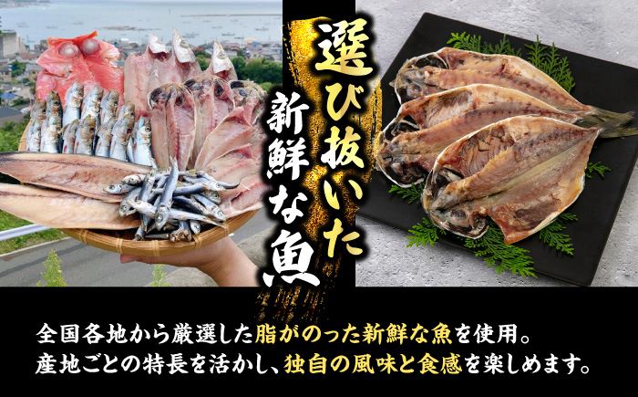 漁師町佐島 干物詰め合わせ5種 2人前セット キンメ鯛 アジ カマス イワシ イカ 干物セット 人気 干物 個包装