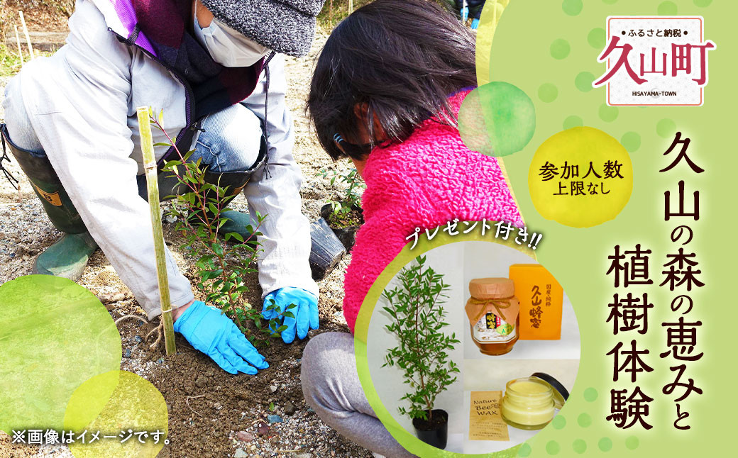 プラン（A）久山の森の恵みと植樹体験