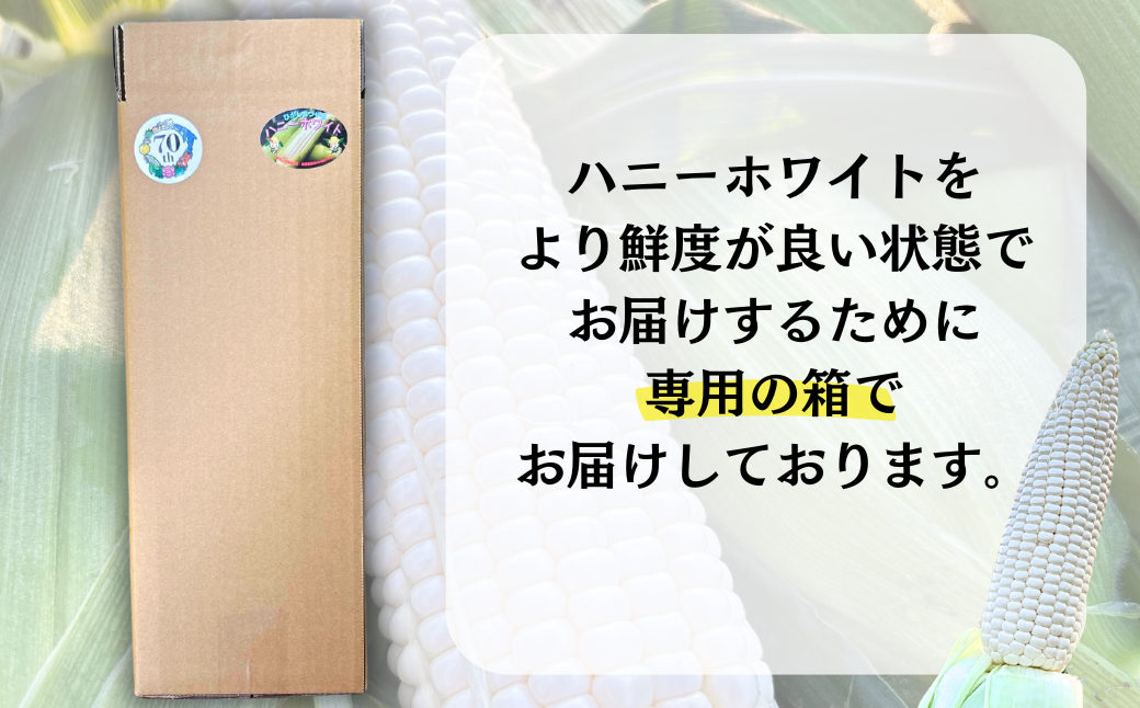 鮮度を保つ為縦入れ専用箱を使用