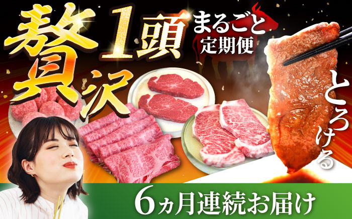 【FARM to TABLE】農場から食卓へ、牧場直送でお届け!