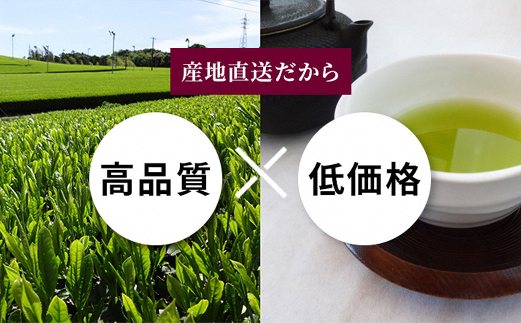 学生さん達と考えた深蒸し茶 200g×1本(化粧箱入)ギフトセット!内緒のギフトこっそり教えます お茶 お茶セット 緑茶