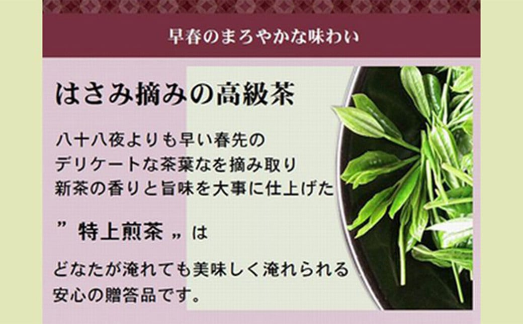 学生さん達と考えた 深蒸し茶 ギフトセット! 絵柄が選べる100g缶! 自分への大感謝祭セット(吟雅缶・さくら缶)  お茶 茶缶