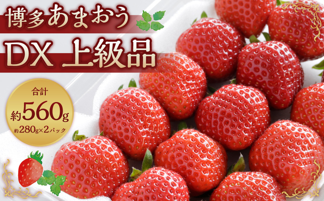 福岡のリッチなフルーツ 4回 定期便
