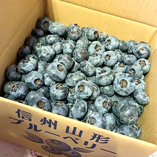 ※箱内部の上下に緩衝材を入れて、大切に発送します。