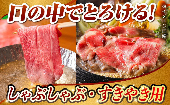 肉 牛 和牛 ロース 焼肉 焼き肉 すき焼き 西海市 長崎 九州 定期便 牛肉  スライス 