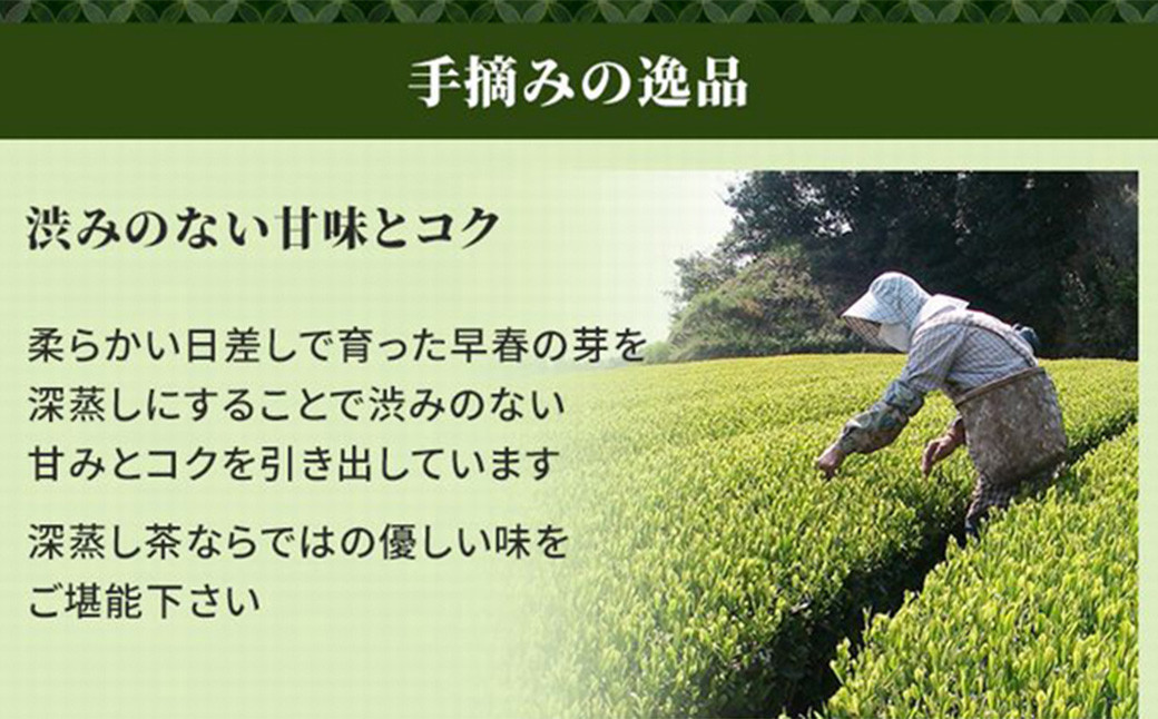 【かえで缶】学生さん達と考えた 深蒸し茶 ギフトセット！ 絵柄が選べる200g缶！ センスが光るオシャレな 茶缶 セット！ お茶