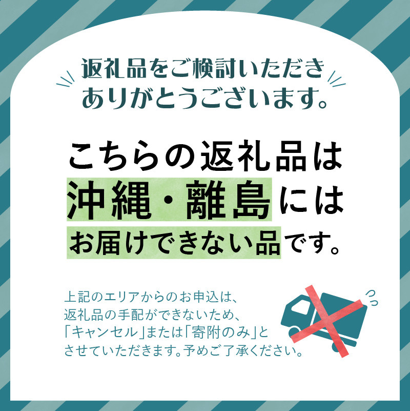 《先行受付》贈答規格 雪蔵貯蔵 サンふじ 約3kg【2026年4月上旬頃～発送予定】【大江町産・山形りんご・りんご専科 清野】