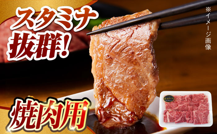 肉 牛 和牛 ロース 焼肉 焼き肉 すき焼き 西海市 長崎 九州 定期便 牛肉  スライス 