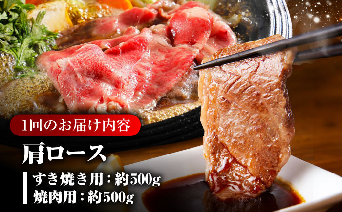 肉 牛 和牛 ロース 焼肉 焼き肉 すき焼き 西海市 長崎 九州 定期便 牛肉  スライス 