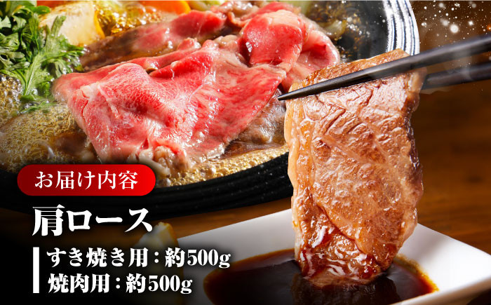  肉 牛 和牛 ロース 焼肉 焼き肉 すき焼き しゃぶしゃぶ 食べ比べ 西海市 長崎 九州 定期便 牛肉  スライス 