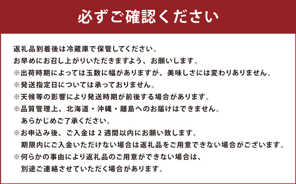 福岡のリッチなフルーツ 3回 定期便