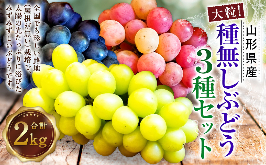 たっぷり日光を浴びたみずみずしい 種無しぶどう3種セット （シャインマスカット＋旬なぶどう） 2kg