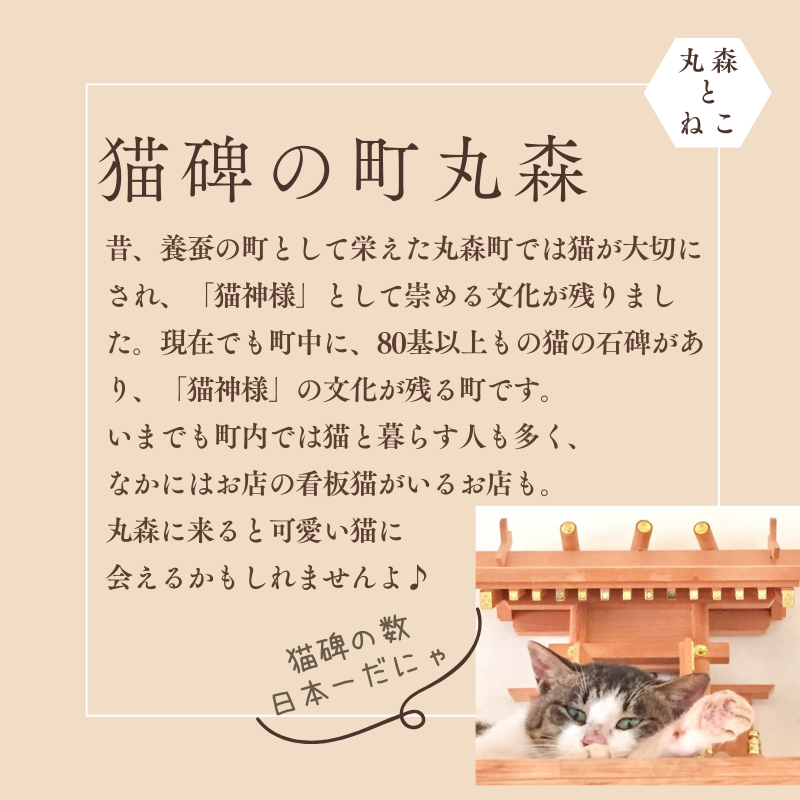 選べるとらちゃんマグカップ2個セット【05122】