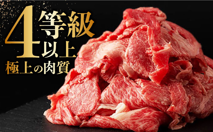 長崎和牛 出島ばらいろ 切り落とし モモ バラ カタ 牛肉 牛 牛肉 肉 もも ばら かた 赤身 焼肉 牛丼
