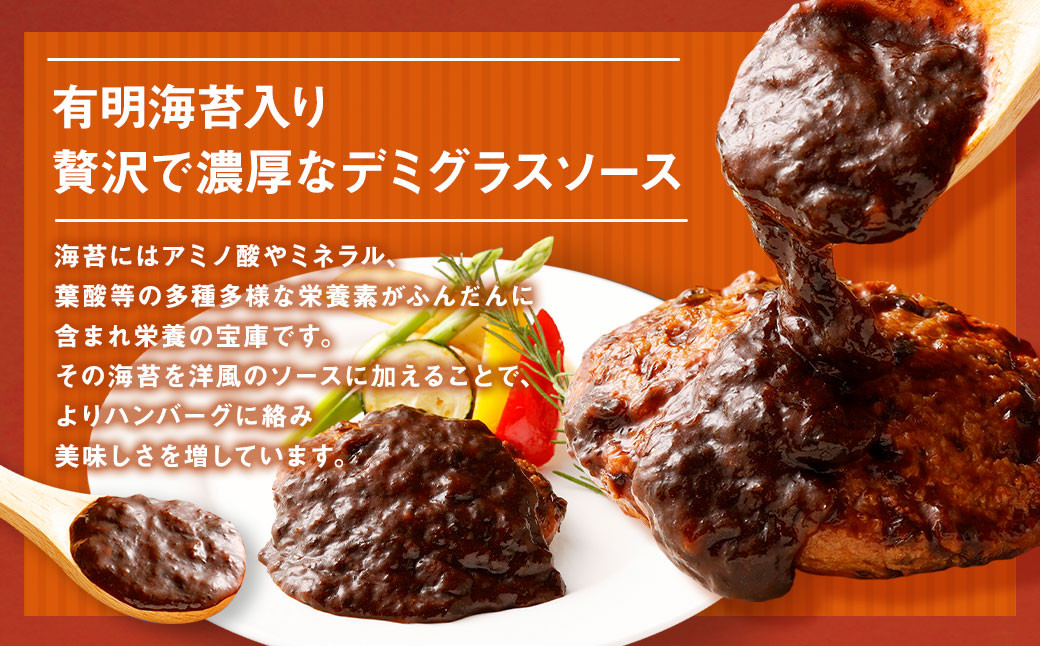 贅沢 デミグラスソース (有明海苔入り) ジューシー ハンバーグ