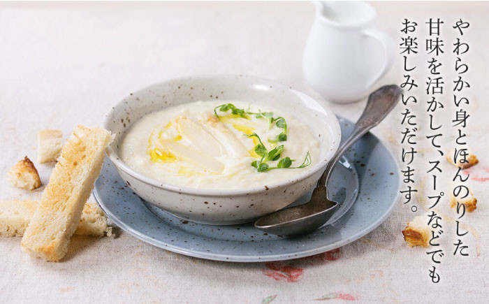 ホワイトアスパラガス 約2kgアスパラ アスパラガス ホワイトアスパラガス  春野菜 先行予約