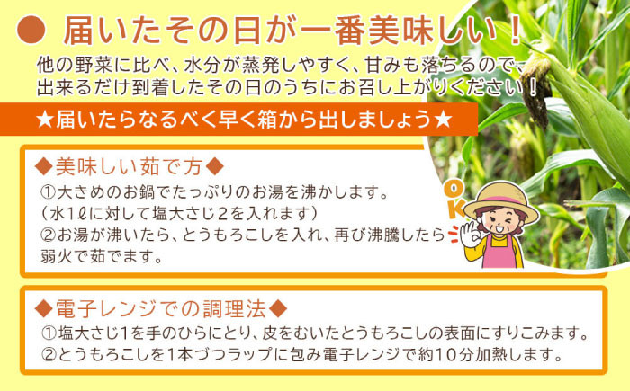 スイートコーン 10本スイートコーン コーン トウモロコシ とうもろこし 夏野菜 野菜