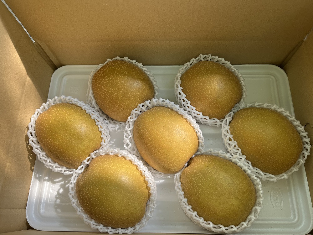王秋(梨)