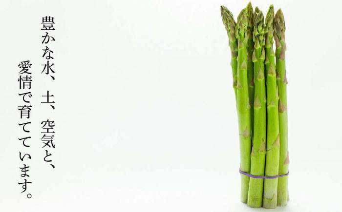 グリーンアスパラガス 約2kg  アスパラ アスパラガス グリーンアスパラガス  春野菜 先行予約