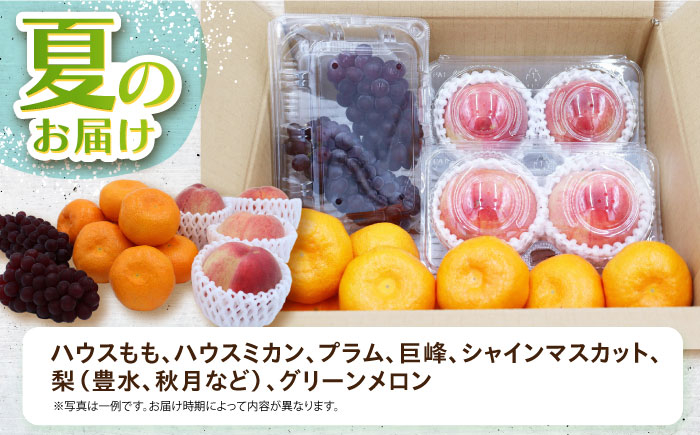 フルーツ 果物 セット 長崎 みかん ぶどう びわ 梨 いちご メロン キウイ 詰合せ 人気 定期便