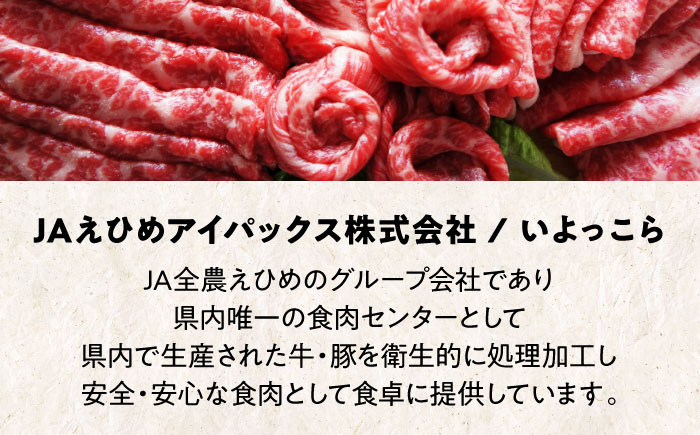 【冷凍】 国産 牛肉 伊予牛「絹の味」ロース  600g  (300g×2) パック