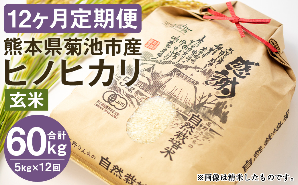 【通常パック】【定期便12ヶ月】七城物語 高野さんちの 自然栽培米 (玄米) 5kg (2.5kg×2パック) 合計60kg
