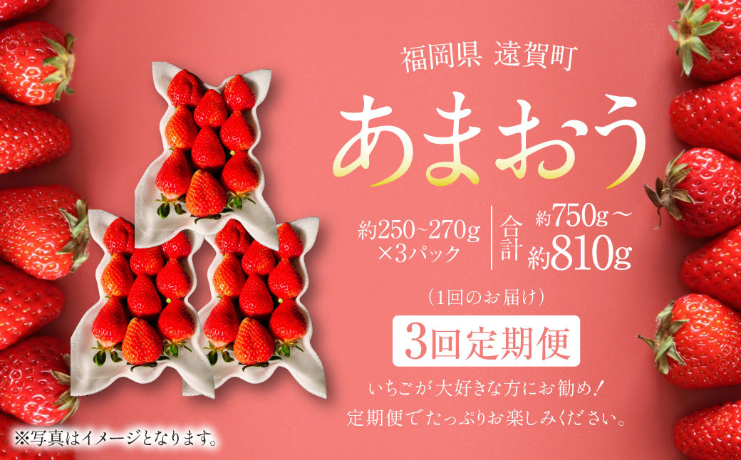 【3回定期便】あまおう 3パック