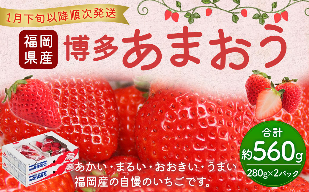 福岡県産 博多あまおう約560g(約280g×2パック入り)