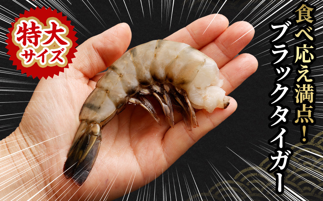 特大 ブラックタイガー 無頭えび 45尾(15尾 × 3セット)| 海老 えび エビ ブラックタイガー 海鮮 魚介 殻付き 冷凍