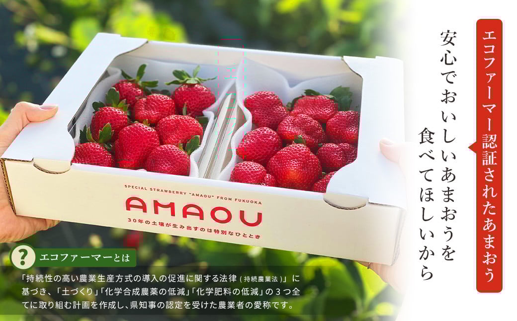 エコファーマー あまおう 約280g×2パック 計560g