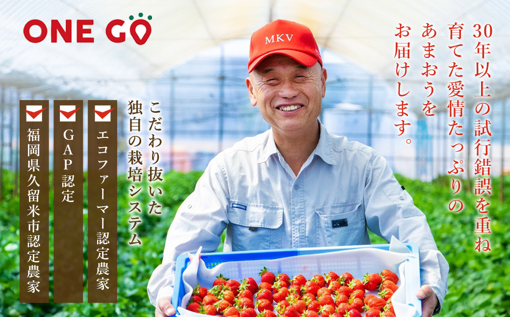 エコファーマー あまおう 約280g×2パック 計560g