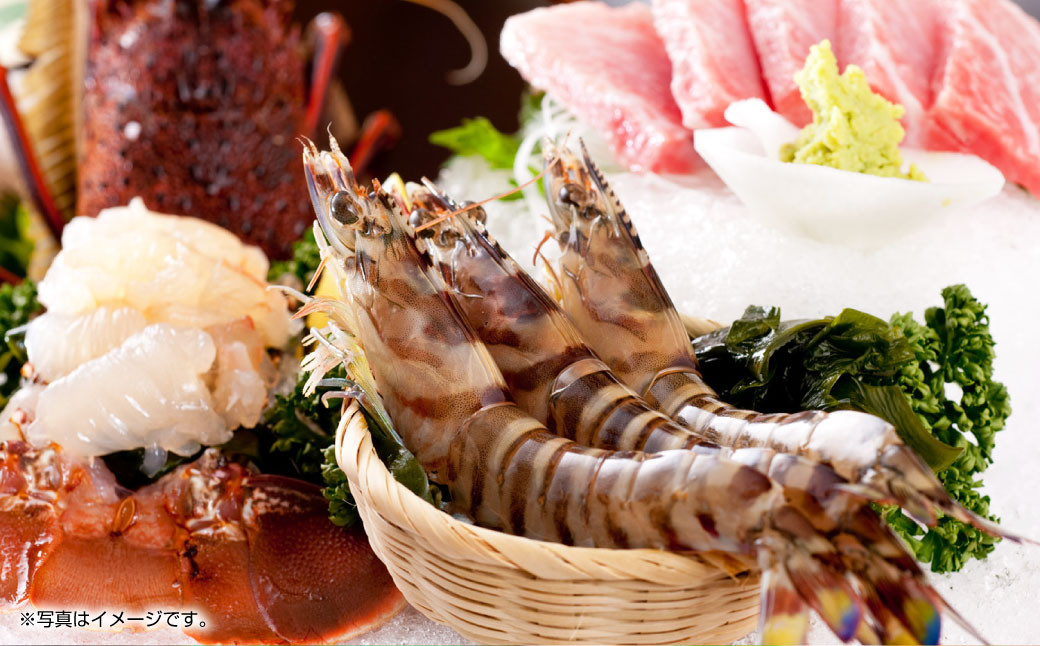 天草産 活き海老 刺身 車エビ えび 活き車海老 車えび