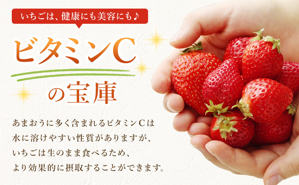 エコファーマー あまおう 約280g×2パック 計560g