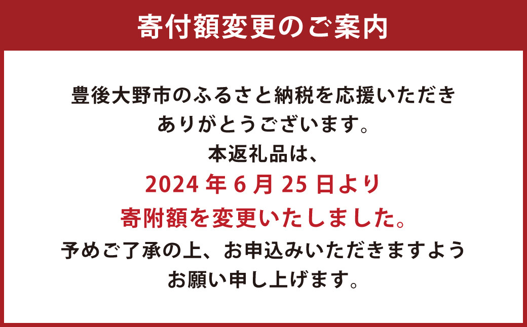 成美 鶏づくし セット 豊後緒方の 鶏汁 大葉 鶏めし の素