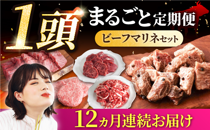 いろんな種類のお肉が楽しめます!