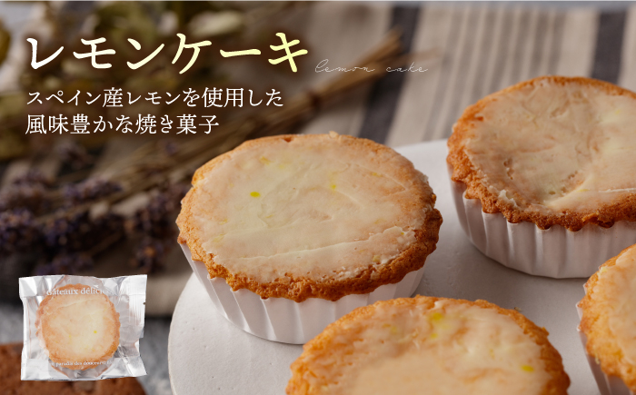 チョコ マドレーヌ まどれーぬ レモンケーキ れもんけーき お菓子 焼き菓子 スイーツ おやつ セット 定期 定期便