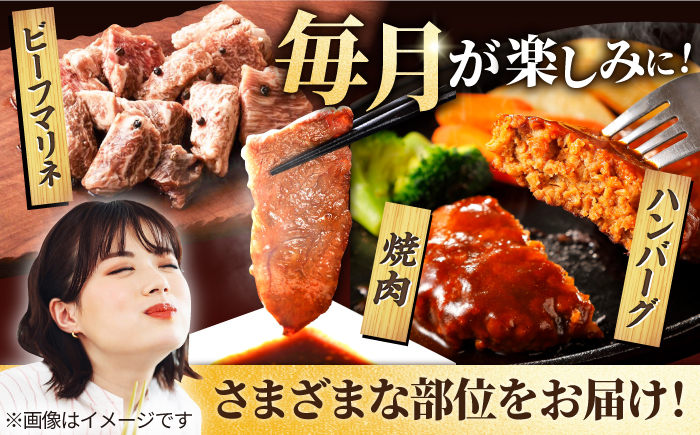 いろんな種類のお肉が楽しめます!