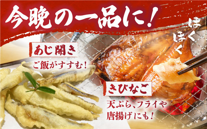 干物 ひもの 魚 詰め合わせ おかず 惣菜 きびなご キビナゴ 鯵の開き セット